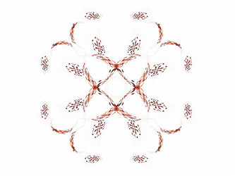 Similar image 13147040