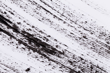 Similar image 13115951