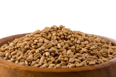 Similar image 13115957