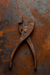 Similar image 13115967