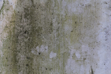 Similar image 13115970