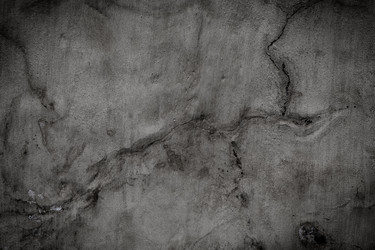 Similar image 13115980