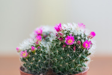 Similar image 13125536