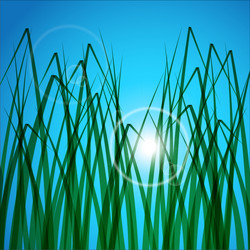 Similar image 13133396