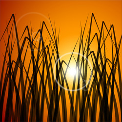 Similar image 13133412