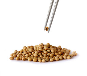 Similar image 13133258