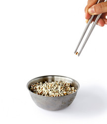 Similar image 13133483