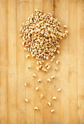 Similar image 13133100