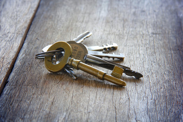 Similar image 13133203