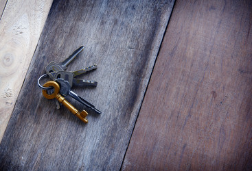 Similar image 13133263