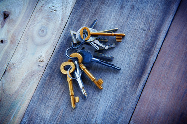 Similar image 13133400