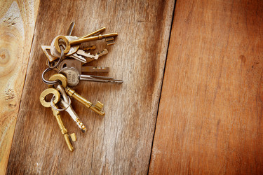 Similar image 13133441