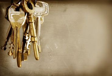 Similar image 13133500