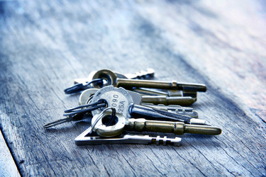 Similar image 13133519