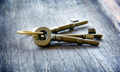 Similar image 13133521