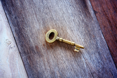 Similar image 13133541