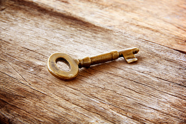 Similar image 13133542