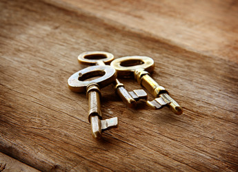 Similar image 13133553