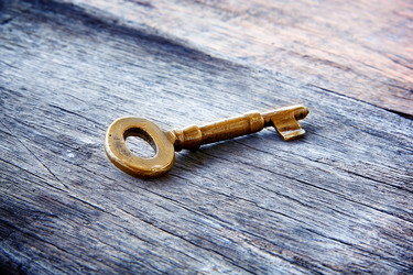 Similar image 13133554