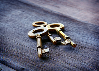 Similar image 13133555