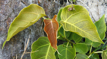 Similar image 13133384