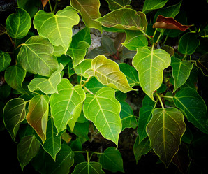 Similar image 13133385