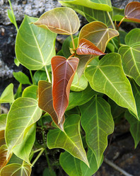 Similar image 13133562