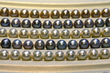 Similar image 13133211