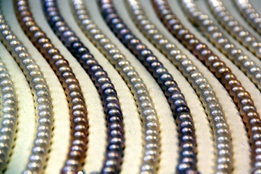 Similar image 13133284