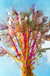 Similar image 13133215