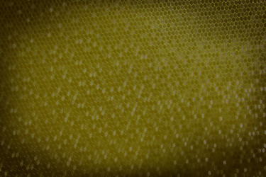 Similar image 13133288