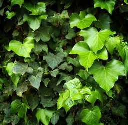 Similar image 13133409