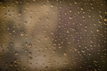 Similar image 13133469