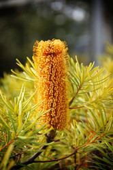 Similar image 13133487