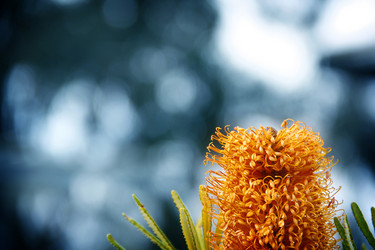 Similar image 13133488