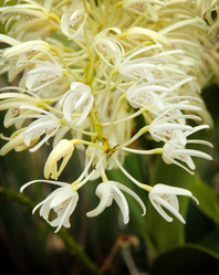 Similar image 13133548