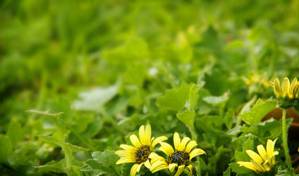 Similar image 13133565