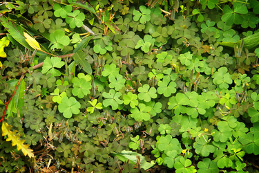 Similar image 13133074