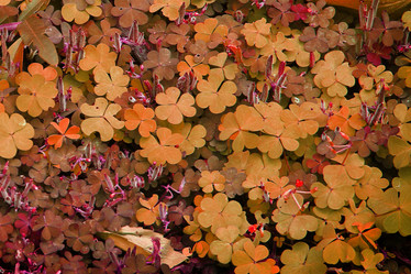 Similar image 13133115