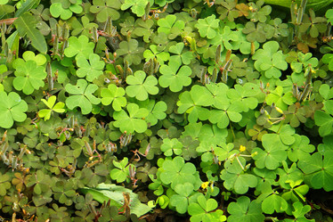 Similar image 13133135