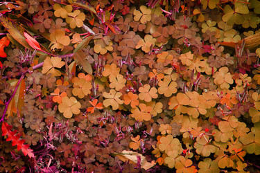 Similar image 13133174