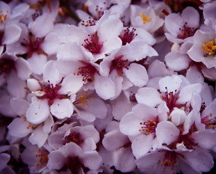 Similar image 13133290