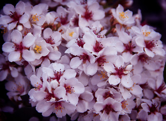 Similar image 13133291