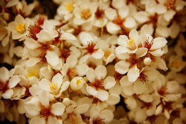 Similar image 13133430