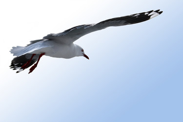 Similar image 13133507