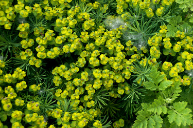 Similar image 13115502