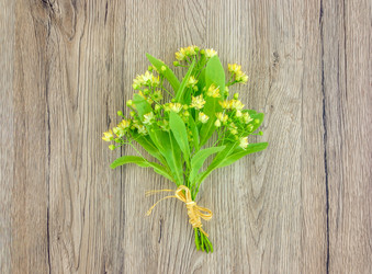 Similar image 13116564