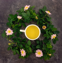 Similar image 13116585