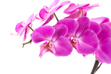 Similar image 13115739