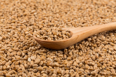 Similar image 13115760